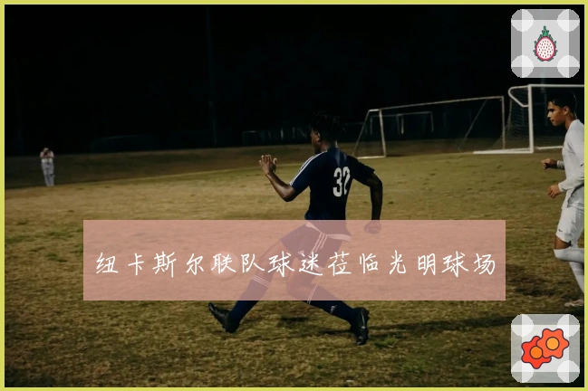 纽卡斯尔联队球迷莅临光明球场