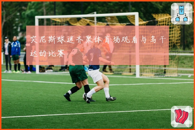 突尼斯球迷齐聚体育场观看与乌干达的比赛