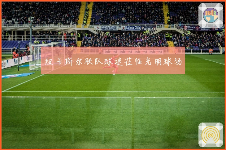 纽卡斯尔联队球迷莅临光明球场