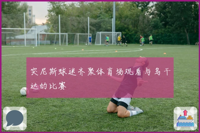 突尼斯球迷齐聚体育场观看与乌干达的比赛